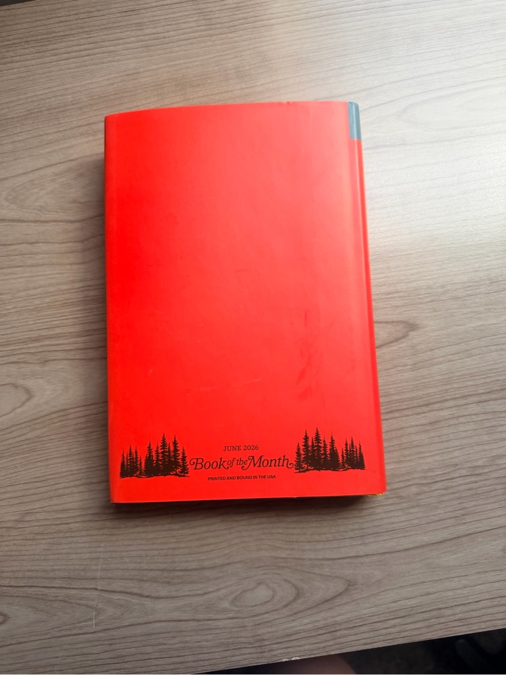 NWT The Children by Melissa Albert - BOTM edition - Picture 3 of 3